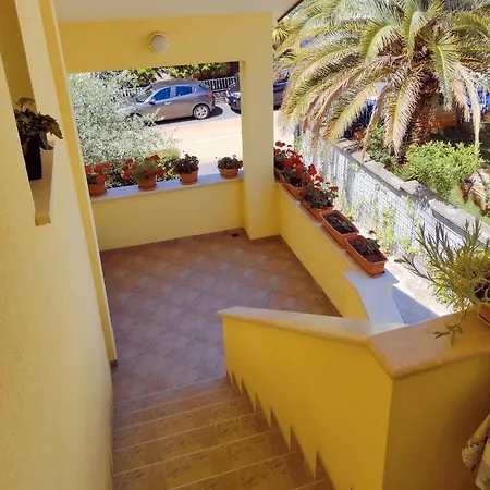 Apartment Novigrad